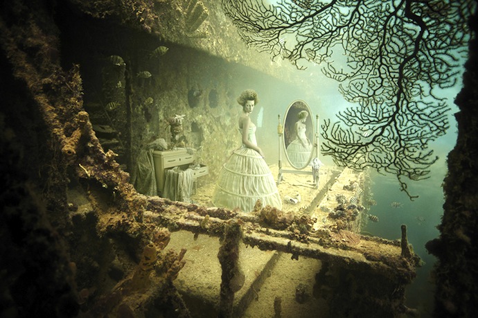Подводная придворная жизнь (фото 7)