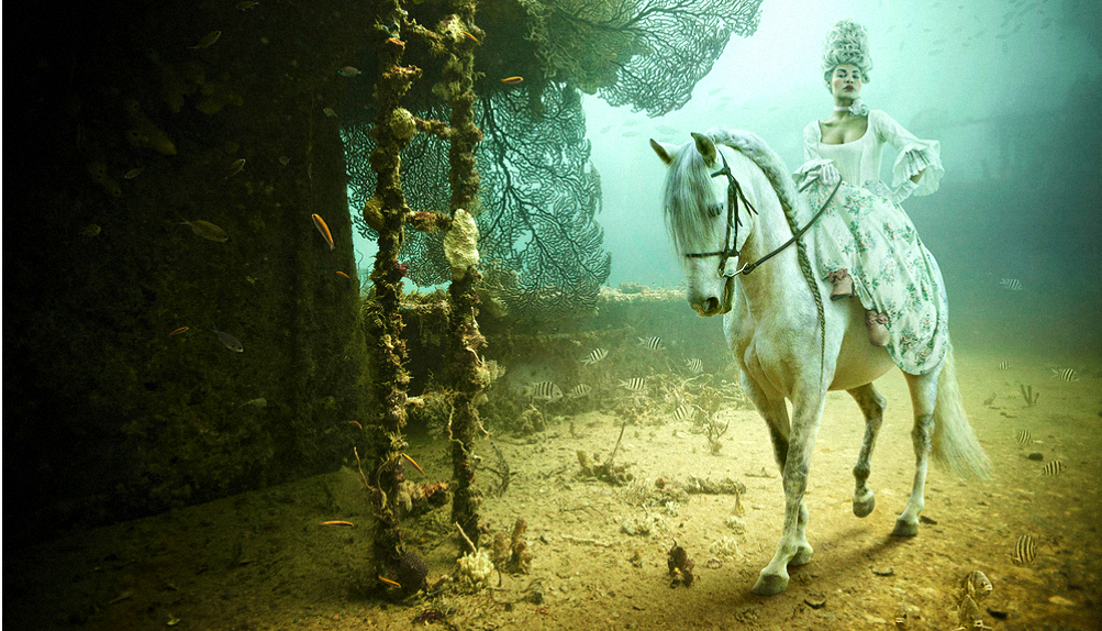 Подводная придворная жизнь (фото 1)