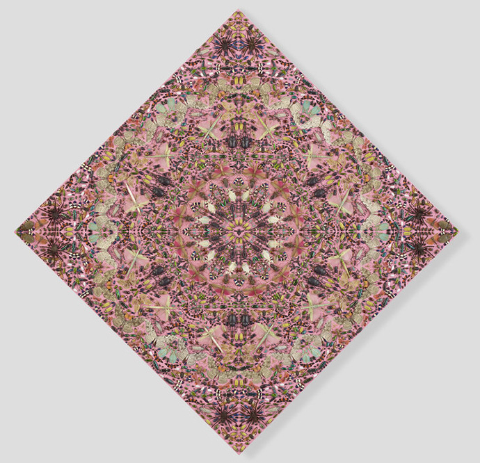 Alexander McQueen сотрудничают с Дэмиеном Херстом (фото 1)