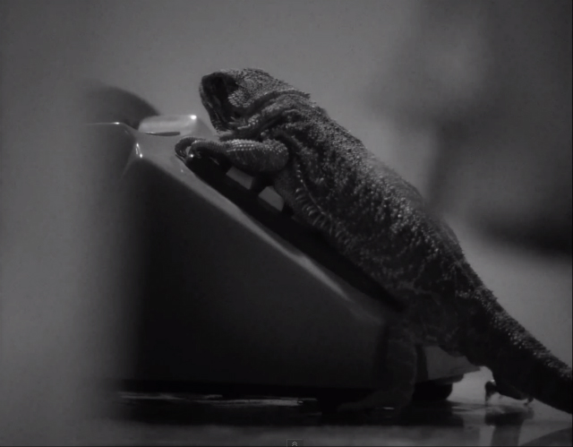 King Krule презентовал новый клип (фото 1)