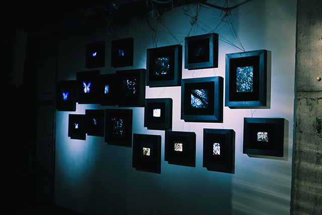 Александр Джеймс: "Мое искусство как стихи: оно создано, чтобы запомнить" (фото 11)