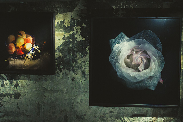 Александр Джеймс: "Мое искусство как стихи: оно создано, чтобы запомнить" (фото 15)