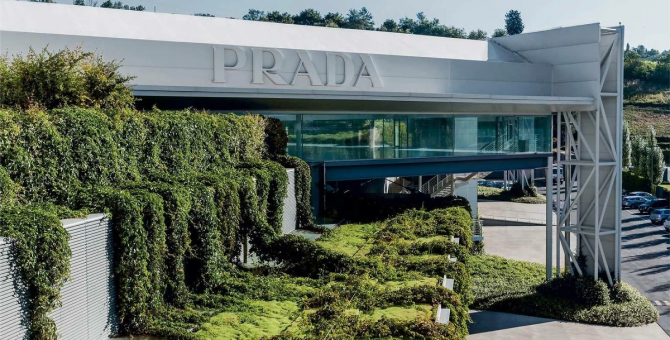 Prada Group запускает образовательный проект Forestami Academy