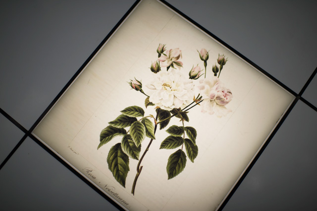 Страна чудес: оставшиеся тайны выставки Chanel Numéros Privés (фото 6)