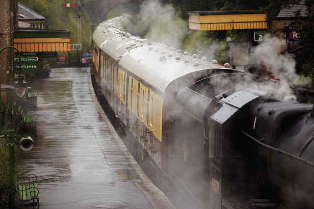 Longleat: "сафари-парк" в Британии (фото 3)