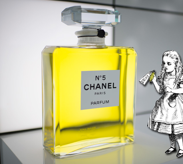 Страна чудес: оставшиеся тайны выставки Chanel Numéros Privés (фото 5)