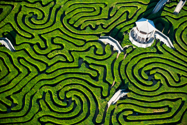 Longleat: "сафари-парк" в Британии (фото 6)