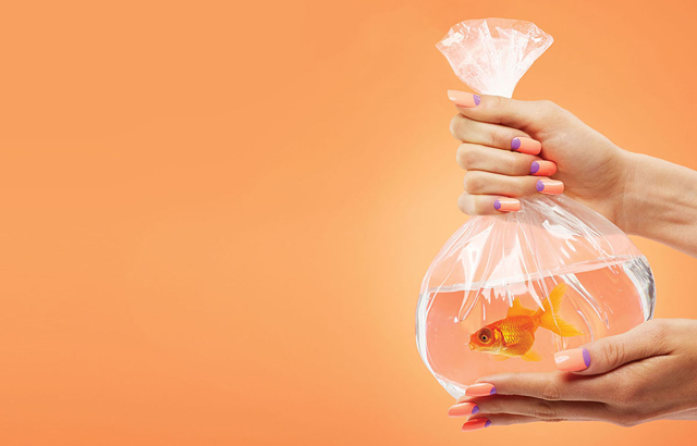 Секрет успеха China Glaze (фото 1)