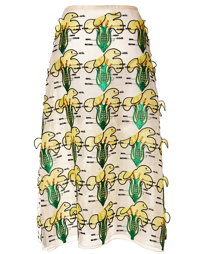 Объект желания: юбка Christopher Kane (фото 1)