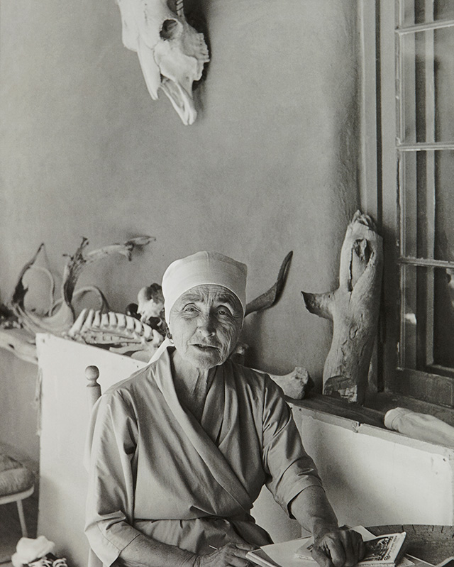 Джорджия О'Киф и Роберт Раушенберг: программа Tate Modern на новый год (фото 1)