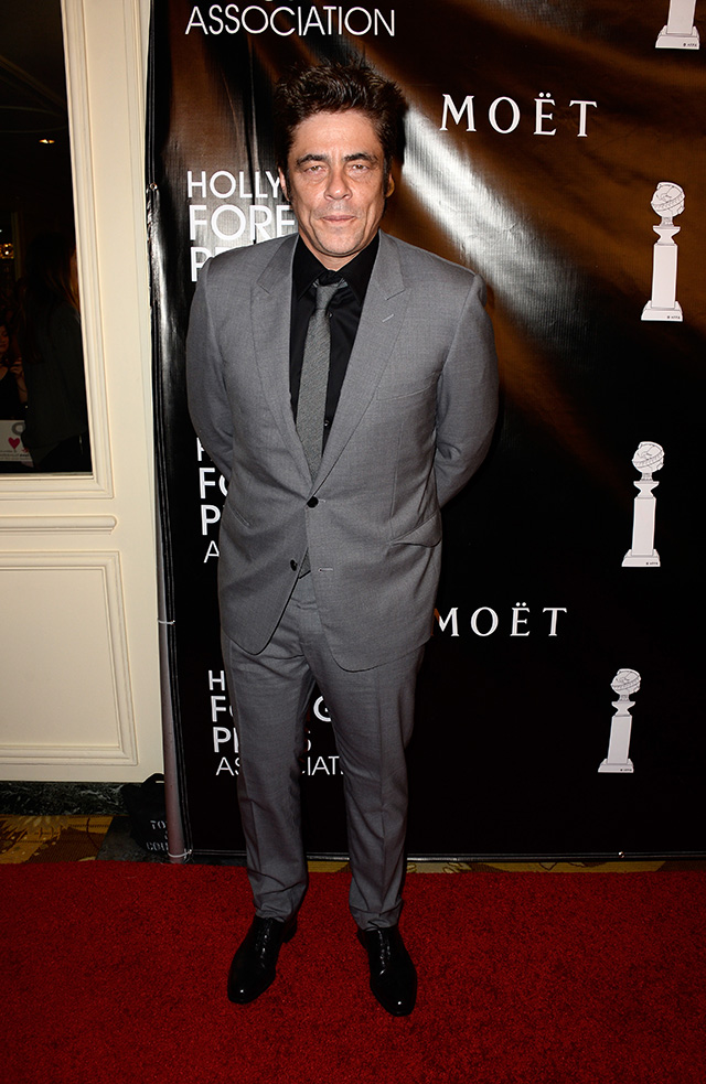 Бенисио Дель Торо Ежегодный банкет Голливудской ассоциации иностранной прессы (фото 7)