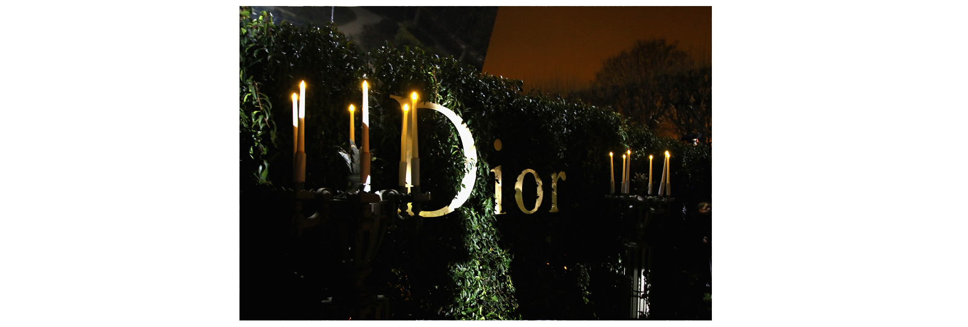 Гости Bal Masque от Christian Dior (фото 10)
