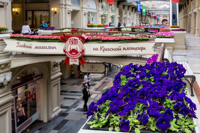 Фестиваль цветов в ГУМе (фото 5)