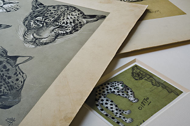 Cartier представил новинки в коллекции Panthère de Cartier (фото 1)