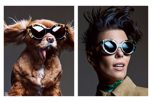 Самый знаменитый щенок Instagram в рекламной кампании Karen Walker (фото 3)