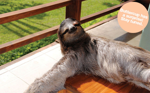 рекламная кампания American Apparel Запрещенный прием: самые скандальные рекламные кампании (фото 5)