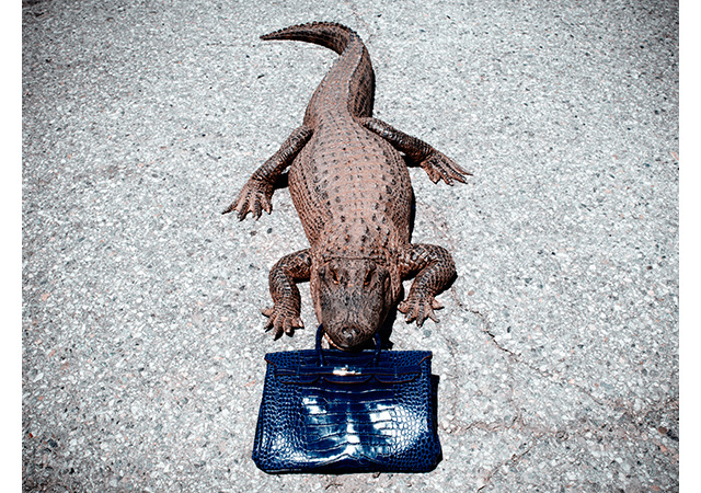 Почему поднялся такой шум вокруг истории PETA, Джейн Биркин и Hermès? (фото 2)