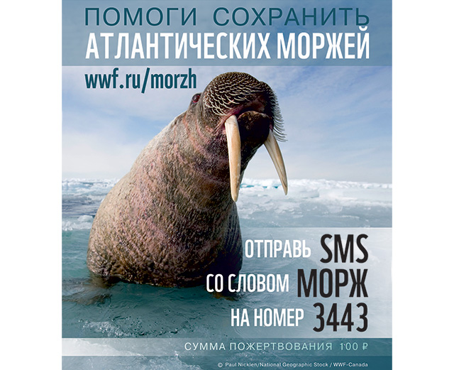 Время добрых дел: как дизайнеры борются с раком и помогают детям (фото 9)