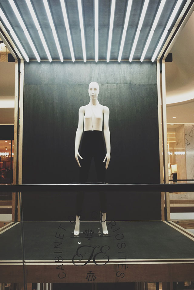 Кабинет редкостей: лучшие образцы всего на свете в проекте Le Cabinet de Curiosités (фото 3)