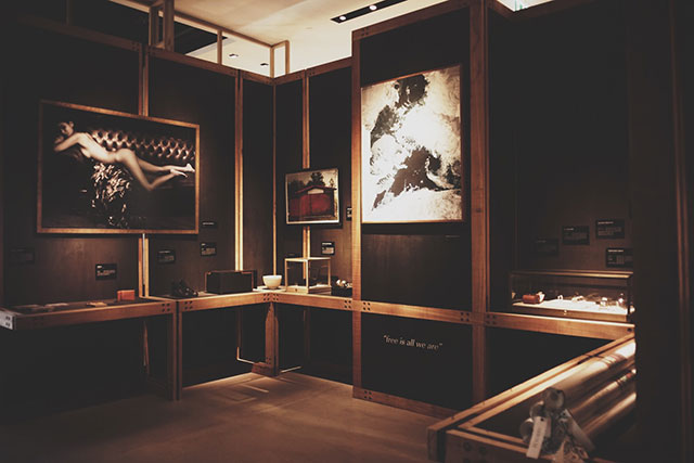 Кабинет редкостей: лучшие образцы всего на свете в проекте Le Cabinet de Curiosités (фото 2)