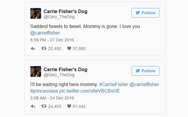 Острая сатира принцессы Леи: лучшие твиты Кэрри Фишер (фото 10)