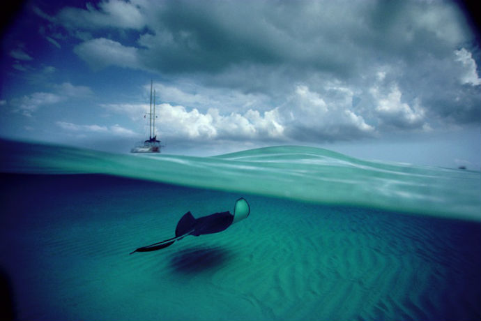 Редкие снимки из архива National Geographic выставлены в Лондоне (фото 3)