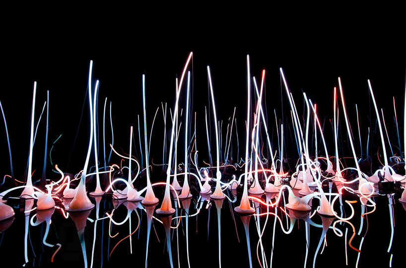 Стеклянный сад в Монреальском музее изящных искусств (фото 1)