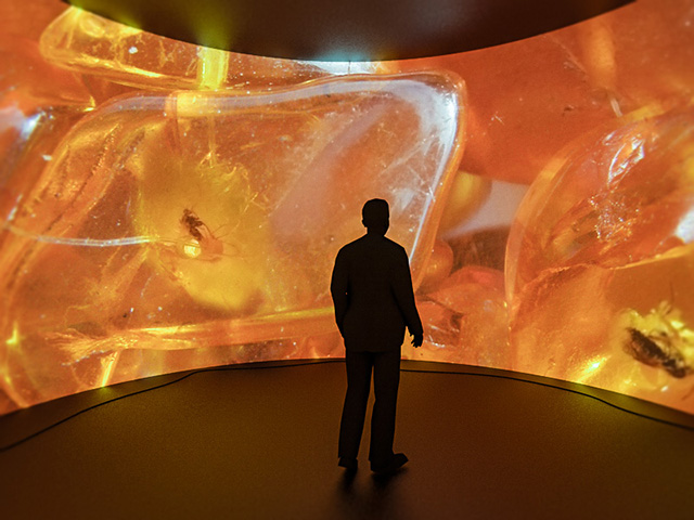 Арт-планы на неделю: 18—24 мая (фото 3)