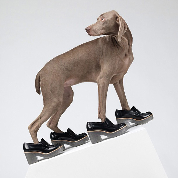 Весенняя кампания Acne (фото 7)