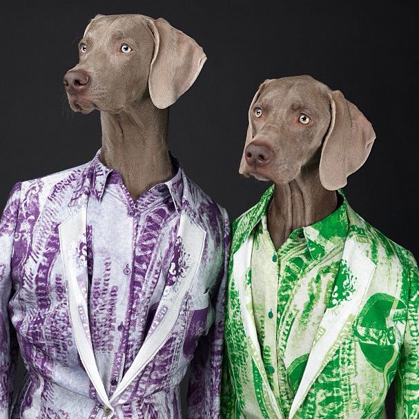 Весенняя кампания Acne (фото 2)