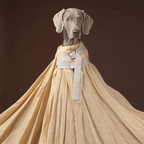 Весенняя кампания Acne (фото 1)