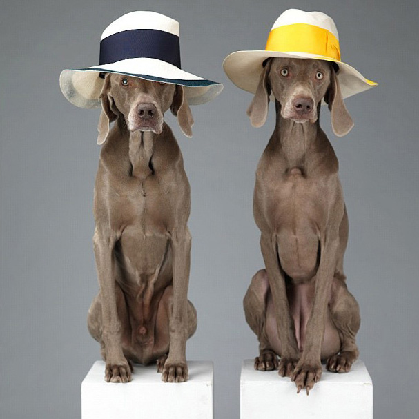 Весенняя кампания Acne (фото 3)