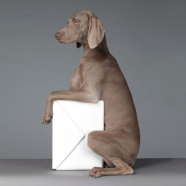 Весенняя кампания Acne (фото 5)