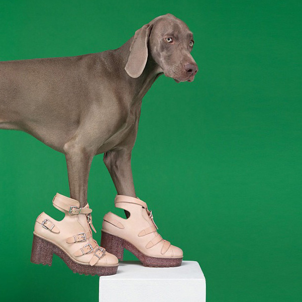 Весенняя кампания Acne (фото 6)