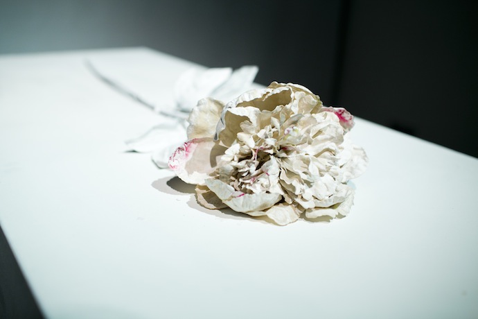 Открытие выставки Виты Буйвид "Пиономания" (фото 10)