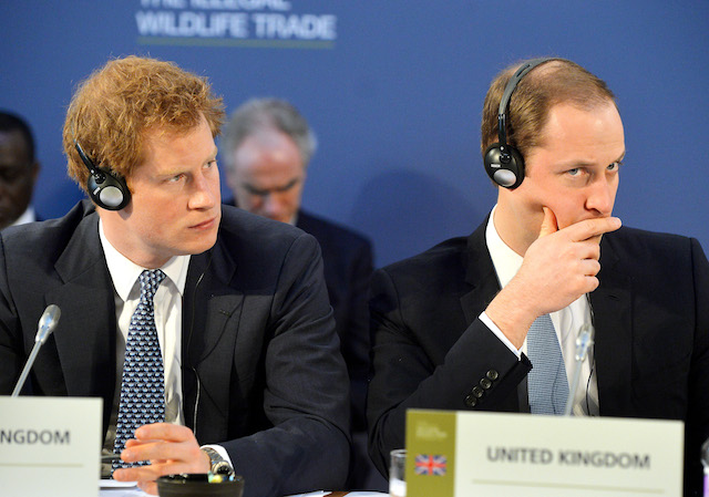 Принц Гарри и Уильям Принц Гарри и Уильям