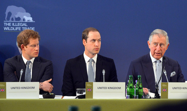 Принц Гарри, Уильям и Чарльз Принц Гарри, Уильям и Чарльз