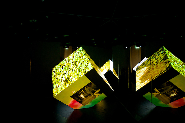 Открытие выставки Proenza Schouler в Le Bon Marché (фото 6)