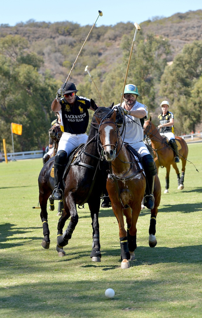 турнир по игре в поло