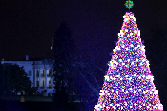 Барак Обама зажег огни на рождественской елке (фото 1)