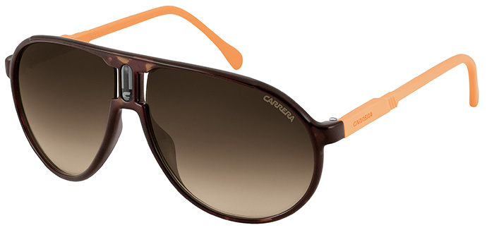 Carrera: Наследие чемпионов (фото 2)