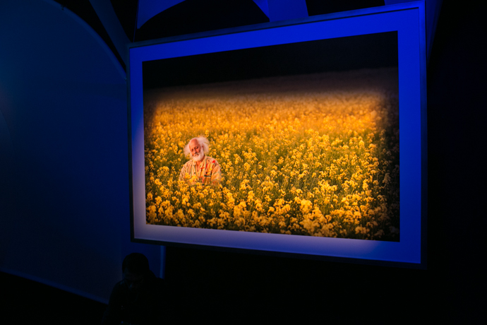 5D-выставка Славы Полунина в ЦДХ (фото 12)