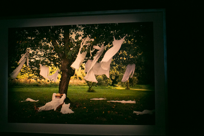 5D-выставка Славы Полунина в ЦДХ (фото 11)