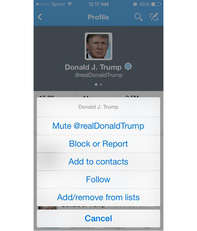 Twitter заставит "замолчать" назойливых пользователей (фото 1)