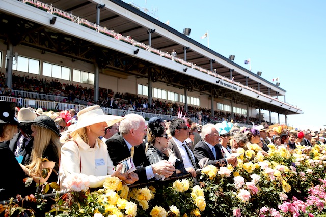 Melbourne Cup Day в Австралии (фото 1)