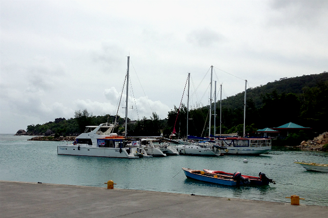 Вечное лето: Сейшельские острова (фото 16)