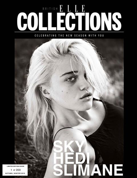 Две обложки нового выпуска Elle Collections (фото 1)