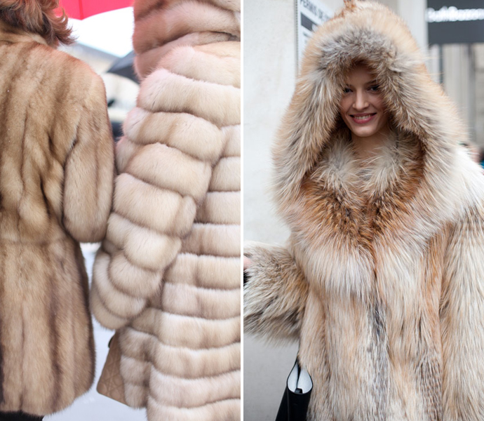 Мех да и только! (фото 11)