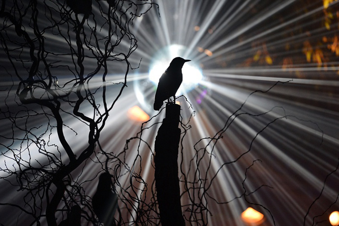 Обзор Buro 24/7: Philipp Plein, осень-зима 2013/14 (фото 1)