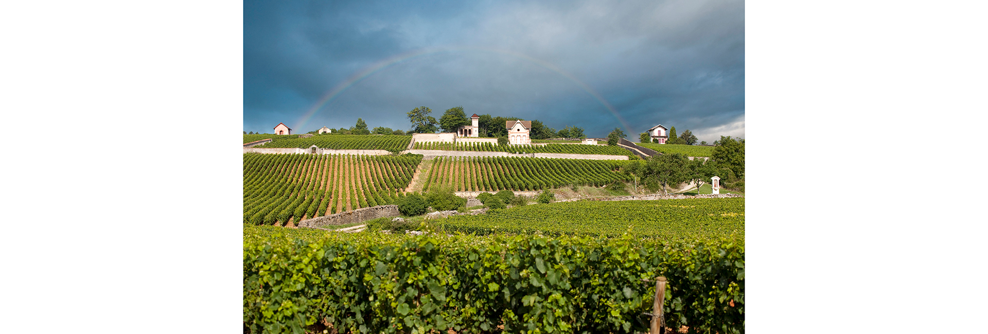 Карта сомелье: куда поехать ценителям вина (фото 2)